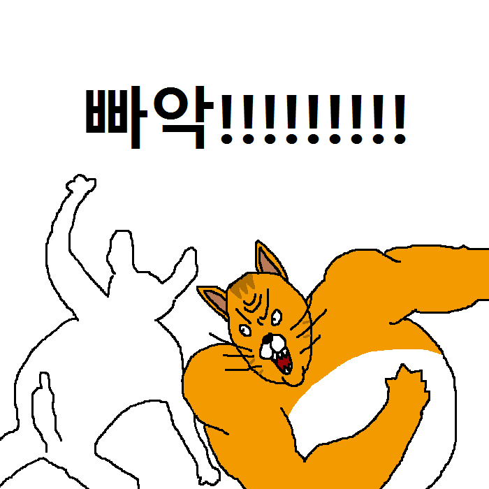 상남자 고양이의 아들 교육법 | 인스티즈