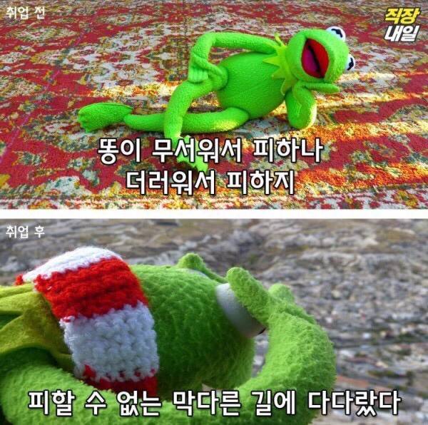 월요병걸린 쌍커들을 위한 취직전 vs 취직후 (개구리 귀여움 주의)-이미지 추가 | 인스티즈