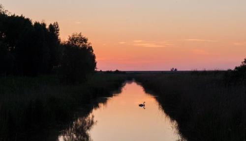  벌새가 사는 법 | 인스티즈