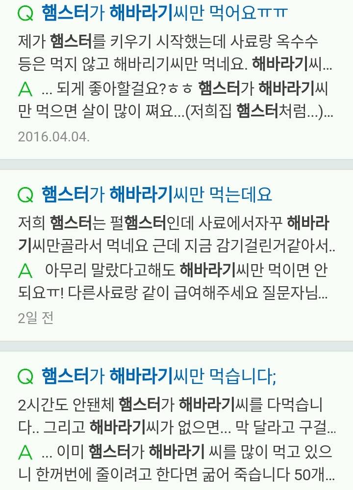 햄스터 키우는 사람공감 | 인스티즈