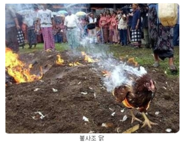 솔직히 전혀 안웃기고 핵시룸인거 | 인스티즈