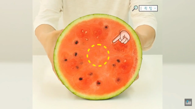 수박의 계절 여름.. 수박씨 쉽게 발라 먹는 방법 🍉 | 인스티즈