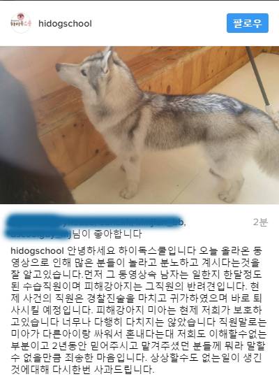 동물학대 애견유치원 사과문.jpgif | 인스티즈