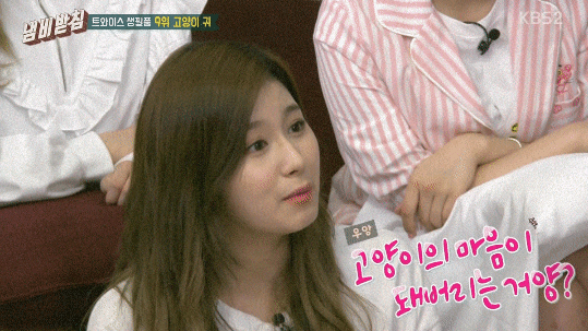 고양이의 마음이 되어버린 트와이스.gif | 인스티즈