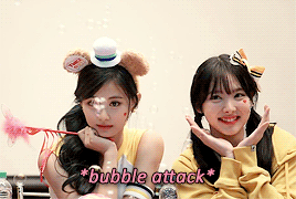 트잘알들은 아는 트와이스 최고케미 | 인스티즈