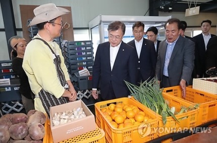 [문재인대통령] 대통령님과 함께 제주감귤 구분해보기.jpg | 인스티즈