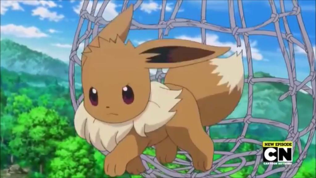 [포켓몬스터] 정말 충격적으로 예쁘고 귀여운 이브이 | 인스티즈