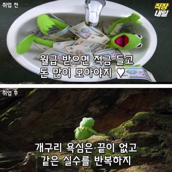 월요병걸린 쌍커들을 위한 취직전 vs 취직후 (개구리 귀여움 주의)-이미지 추가 | 인스티즈
