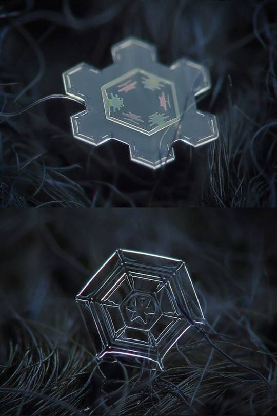 예쁜 눈 결정체 | 인스티즈