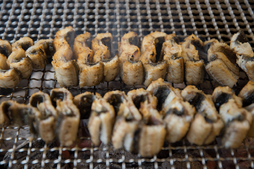 고소한 장어구이 움짤 gif | 인스티즈