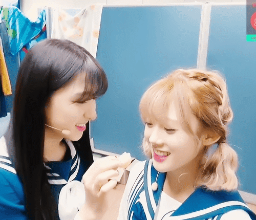 ㄹㅇ루다가 귤을 맛있게 먹는법! | 인스티즈