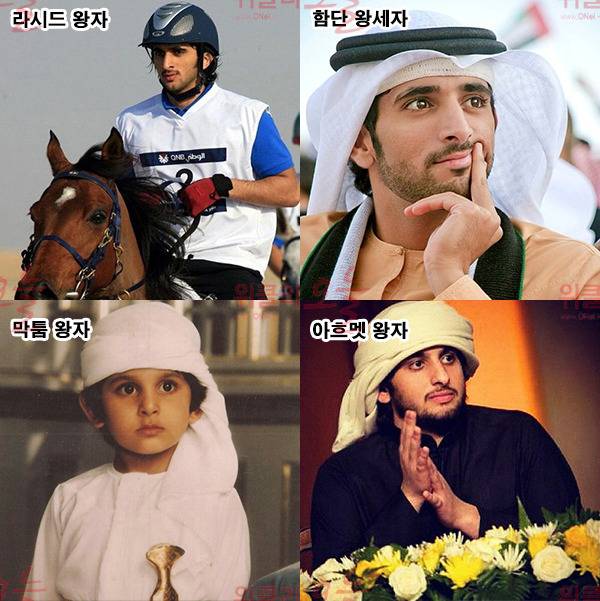 집안 재산 1000조 이상이라는 두바이 왕족의 외모 클라스.jpg | 인스티즈