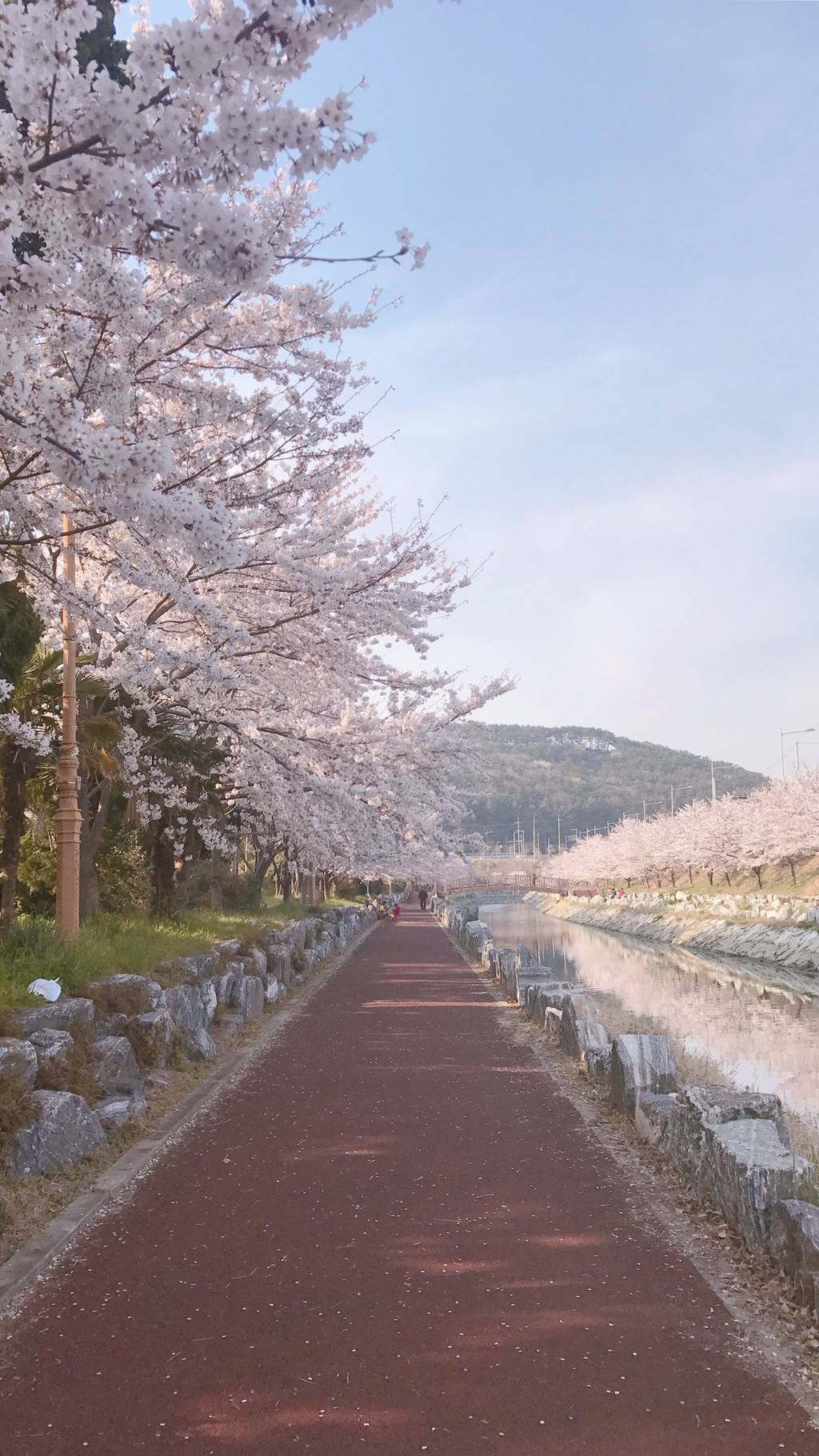 [부산광역시] 부산의 센치함 | 인스티즈