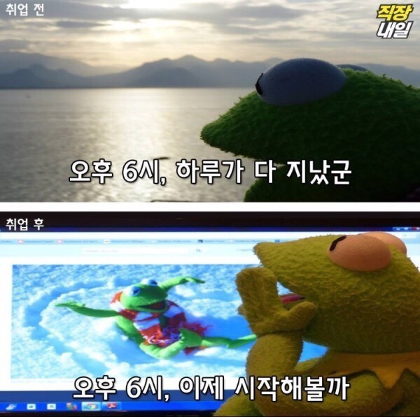 월요병걸린 쌍커들을 위한 취직전 vs 취직후 (개구리 귀여움 주의)-이미지 추가 | 인스티즈