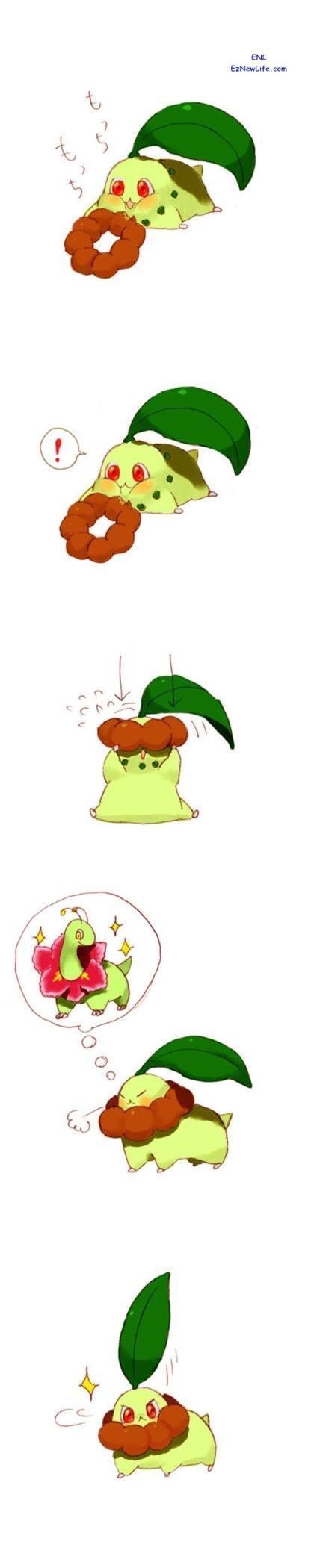 포켓몬 진화꿈꾸는 만화 | 인스티즈