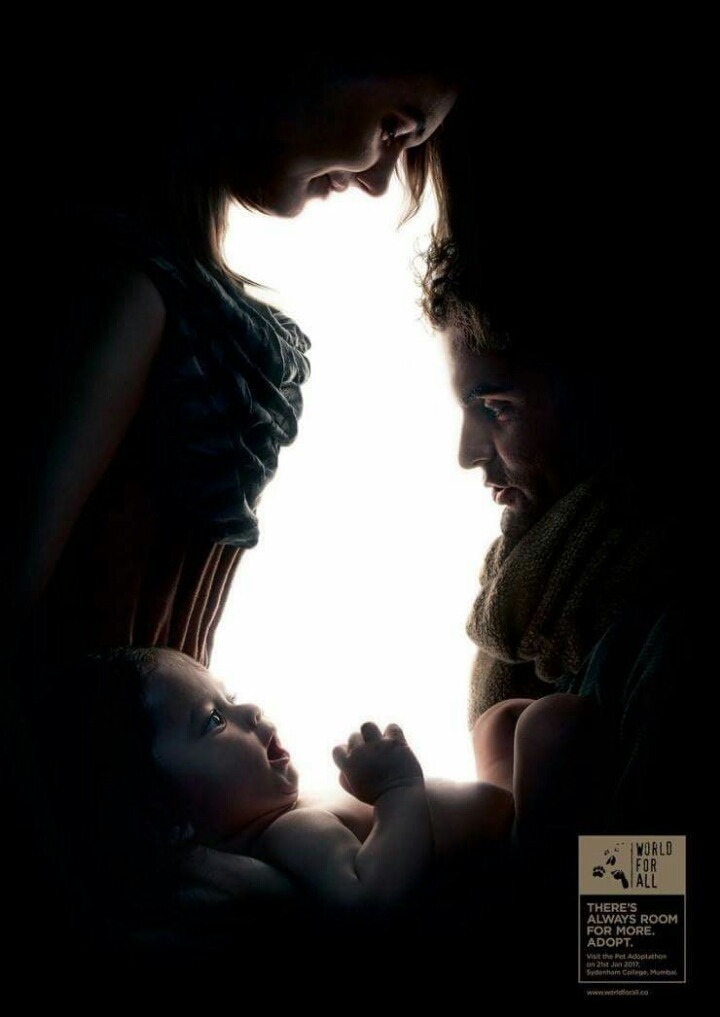 외국 반려동물 입양 포스터.jpg | 인스티즈