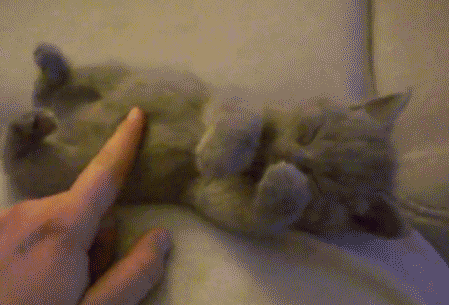 세친구 ㅋ | 인스티즈