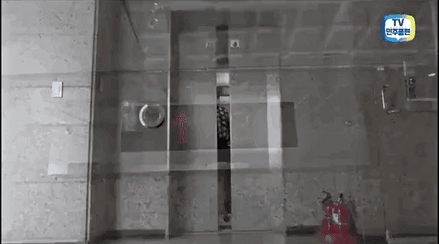 최일구 앵커의 노룩패스.gif | 인스티즈