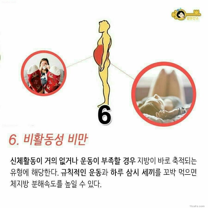 살이 찌는 부위 별 이유 | 인스티즈