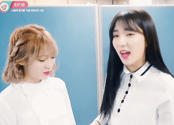 루다가 알려주는 ㄹㅇ루다가 귤 맛있게 먹는 방법 | 인스티즈