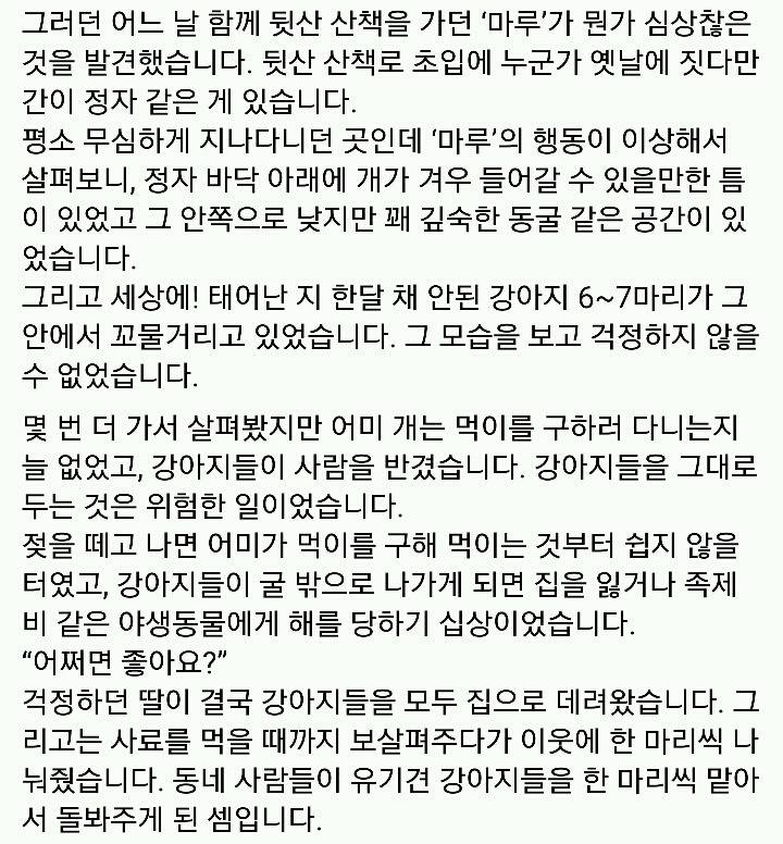 문재인 반려견 마루♡지순의 이야기 | 인스티즈
