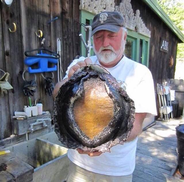 미국산 전복 크기.JPG | 인스티즈