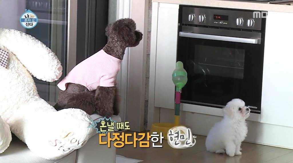 나혼자산다 윤현민편 꼬봉이 캡처(feat.올블랙) | 인스티즈