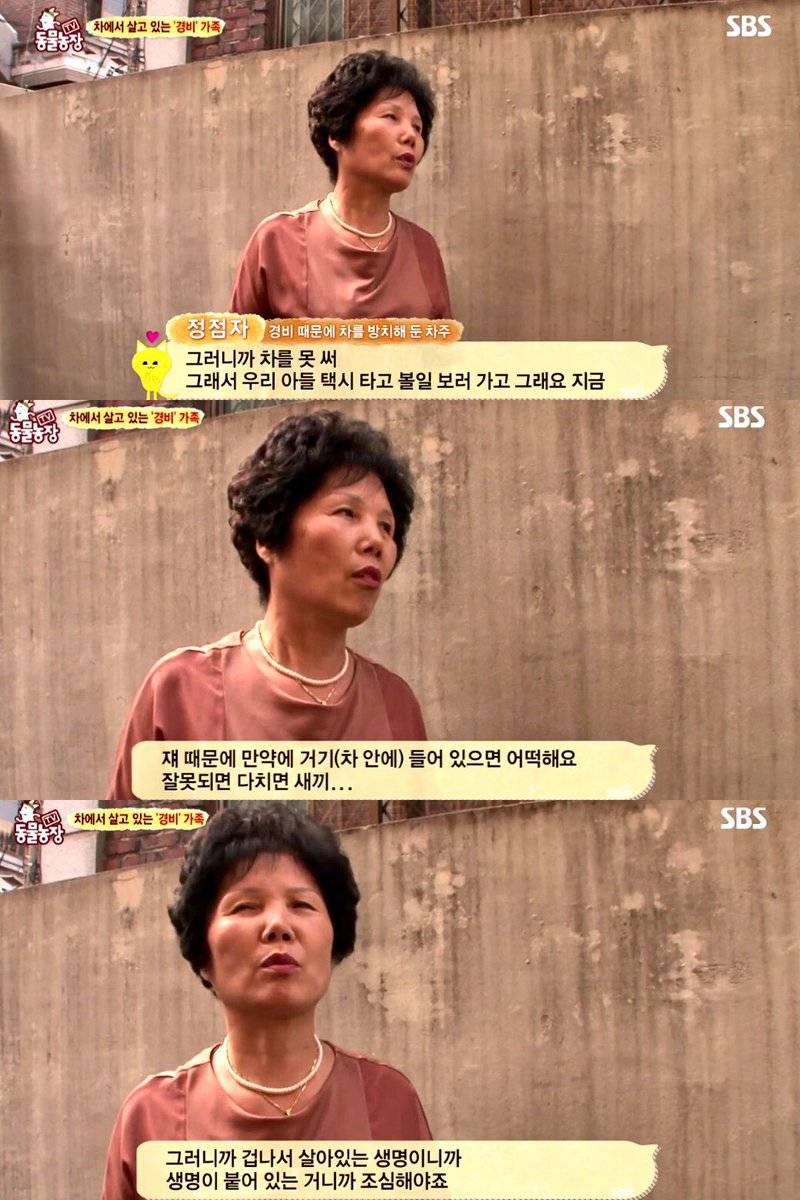 고양이때문에 택시 타고 다니는 가족 | 인스티즈