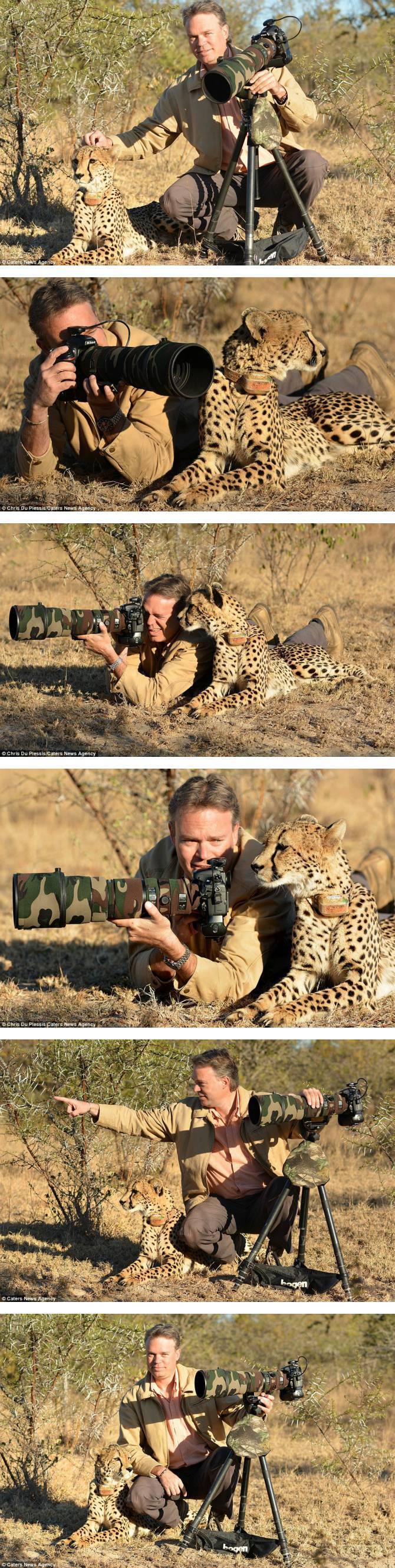 사진 기사와 친해진 치타 | 인스티즈