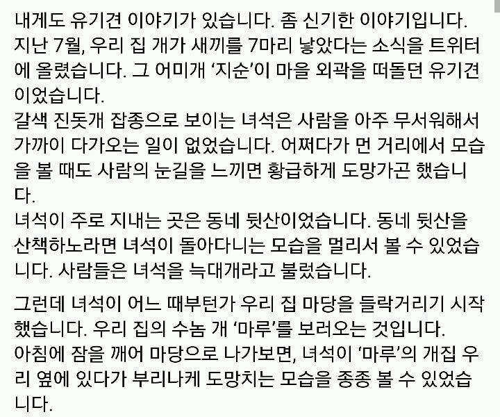 문재인 반려견 마루♡지순의 이야기 | 인스티즈