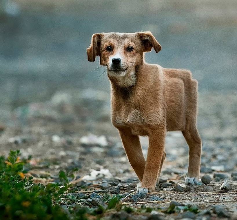돔물믜 뫔국 | 인스티즈