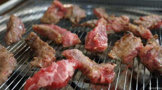 육고기 중 최애 육고기는? | 인스티즈