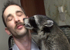 사람과 동물들 (움짤 다수) | 인스티즈