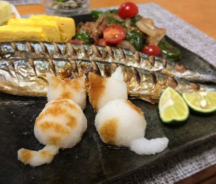 꽁치구이를 노리는 아기고양이들 | 인스티즈