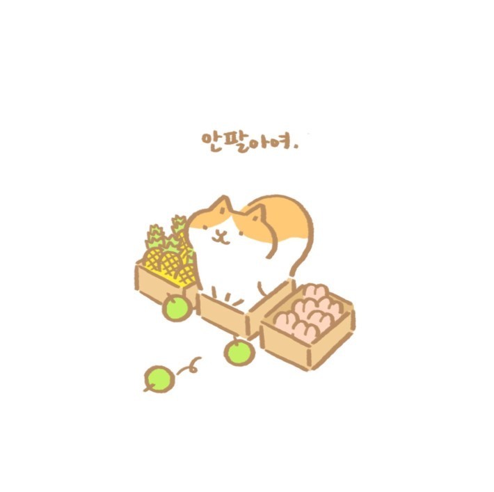 과일파는 고양이 만화.jpg | 인스티즈