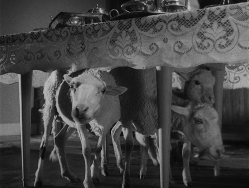 영화평론가 이동진이 고른 영화 베스트 10 | 인스티즈