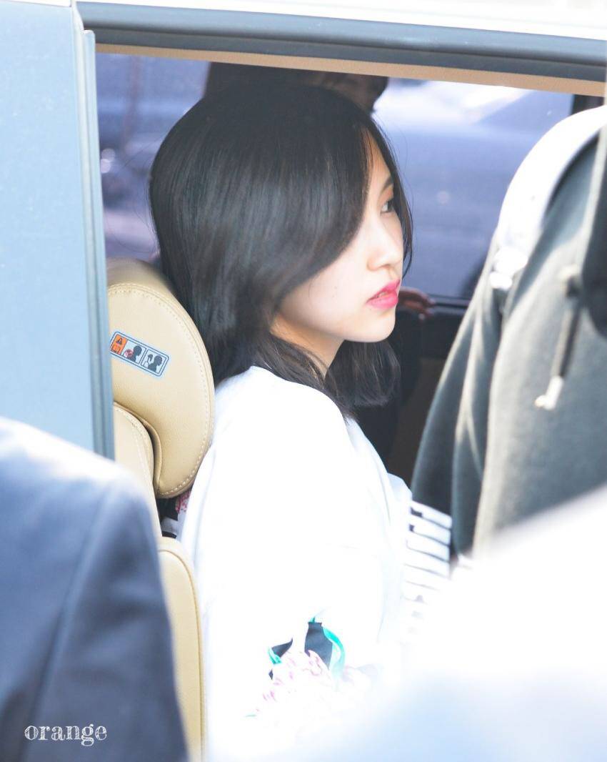 묘이 미나 | 인스티즈