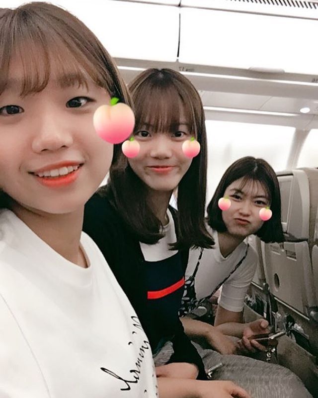 하와이로 떠나는 흥국생명선수들 | 인스티즈