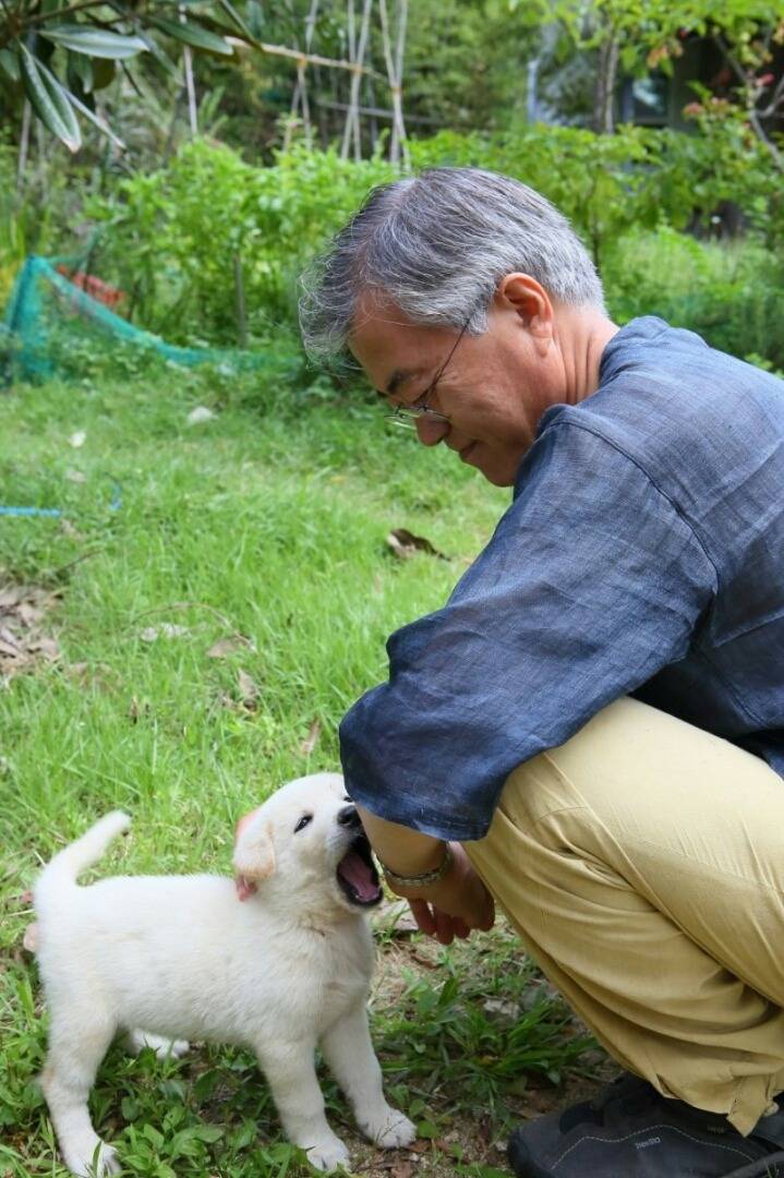 문재인 반려견 마루♡지순의 이야기 | 인스티즈