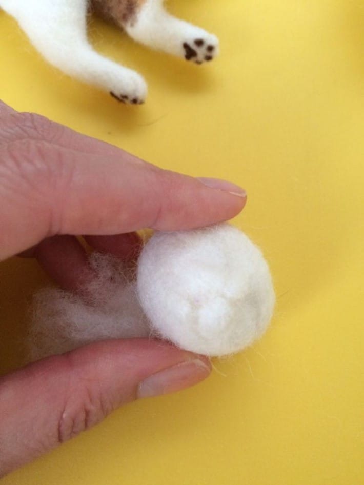 고양이 털로 만든 고양이 | 인스티즈