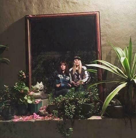 잔든견 (귀여움주의) | 인스티즈