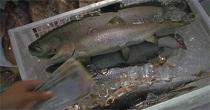 [러브렉트] 최애와 무인도에 갇혔다고 좋아했는데 무인도가 아니었음ㅋㅋㅋㅋㅋㅋㅋ | 인스티즈