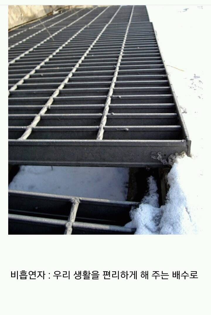 꽁초충 길빵충 가래충이 시룸인 이유 (feat.푸념주의) | 인스티즈