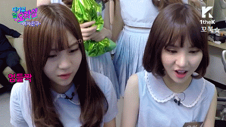 여자친구 엄지 vs 은하 .gif | 인스티즈