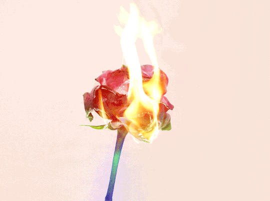 상대방의 본성을 아는 법 | 인스티즈