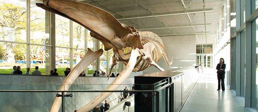 캐나다 대학 캠퍼스 수준 | 인스티즈