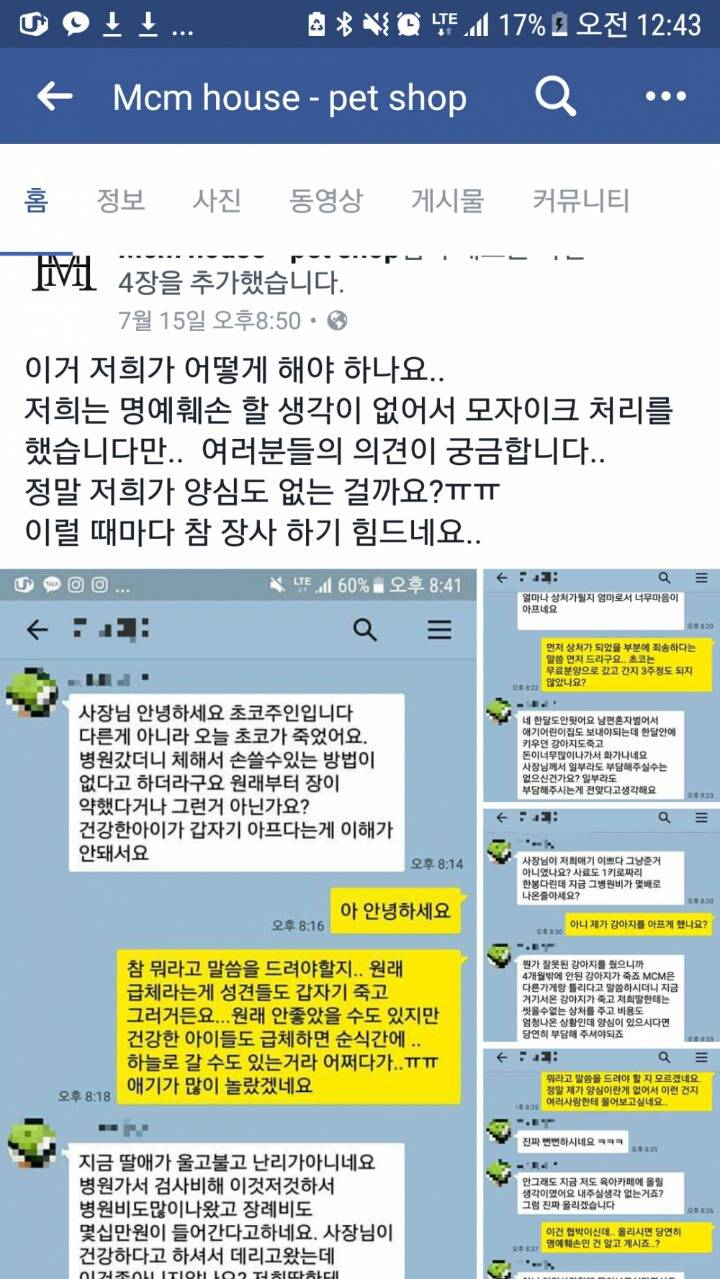무료분양받은 강아지가 죽자 장례비달라는 클라스 | 인스티즈