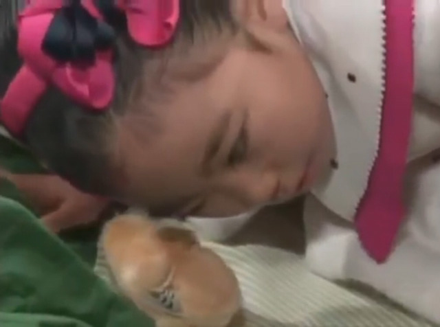 미달이의 병아리와 할아버지 | 인스티즈