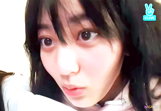 2월부터 4월까지 트와이스 지효 | 인스티즈