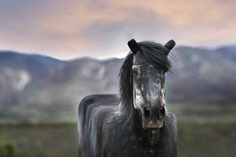 돔물믜 뫔국 | 인스티즈